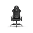 SKILLCHAIRS Raven