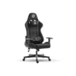 SKILLCHAIRS Raven
