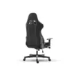 SKILLCHAIRS Raven