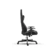 SKILLCHAIRS Raven
